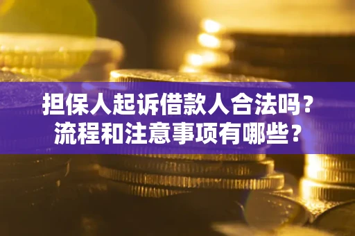 济南担保人起诉借款人合法吗？流程和注意事项有哪些？