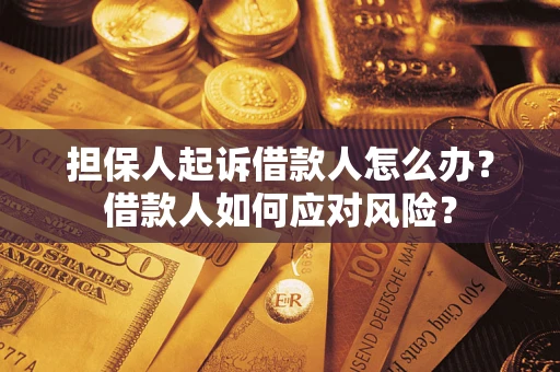 济南担保人起诉借款人怎么办？借款人如何应对风险？