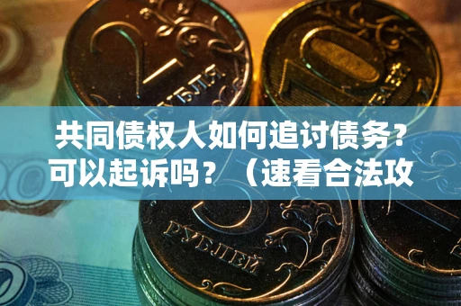 济南共同债权人如何追讨债务？可以起诉吗？（速看合法攻略）
